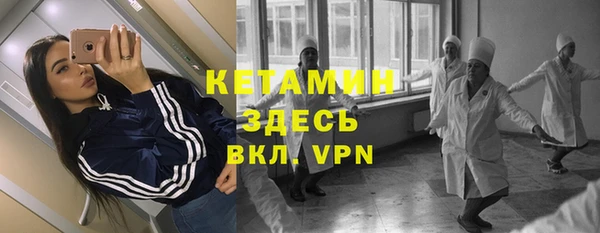 шишки Аркадак