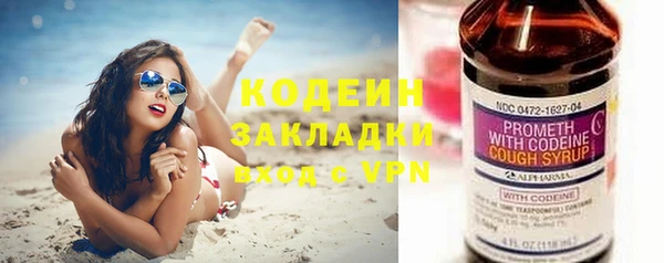 шишки Аркадак