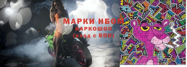 шишки Аркадак