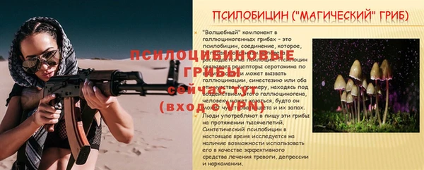 соль ск Армянск