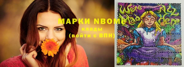 шишки Аркадак