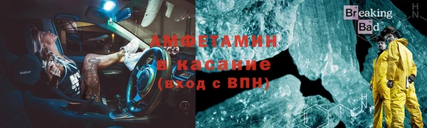 шишки Аркадак