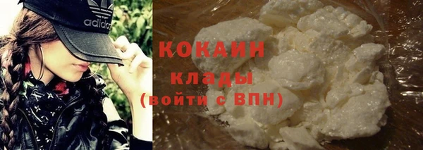 шишки Аркадак